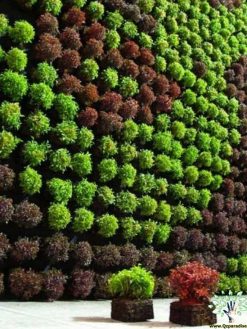 دیوار سبز GW18 Green wall