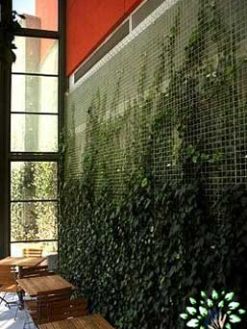 دیوار سبز GW19 Green wall