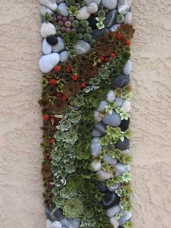 دیوار سبز GW2 Green wall