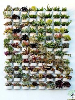 دیوار سبز GW20 Green wall