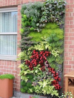 دیوار سبز GW23 Green wall