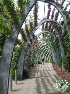 دیوار سبز GW24 Green wall