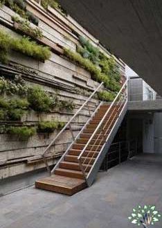 دیوار سبز GW26 Green wall