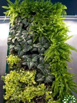 دیوار سبز GW3 Green wall