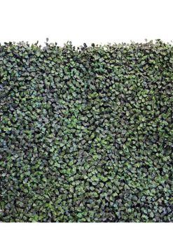 دیوار سبز GW32 Green wall