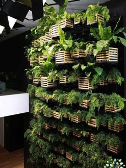 دیوار سبز GW34 Green wall