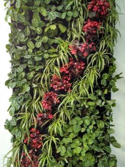 دیوار سبز GW35 Green wall