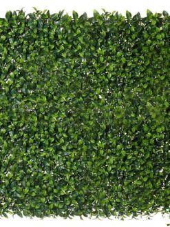 دیوار سبز GW4 Green wall