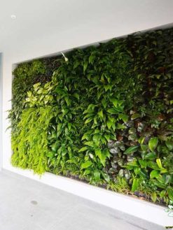 دیوار سبز GW44 Green wall