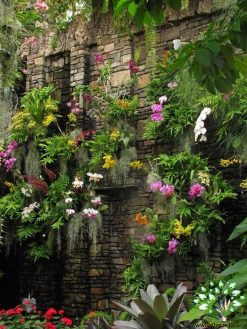 دیوار سبز GW45 Green wall