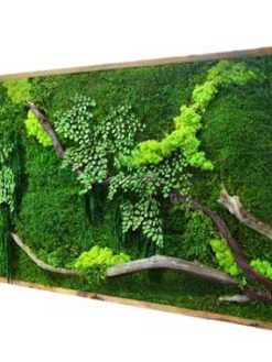 دیوار سبز GW47 Green wall