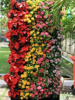 دیوار سبز GW48 Green wall