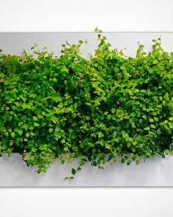 دیوار سبز GW49 Green wall
