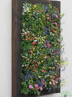 دیوار سبز GW5 Green wall