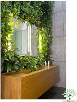دیوار سبز GW50 Green wall