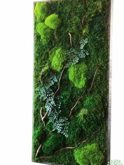 دیوار سبز GW51 Green wall