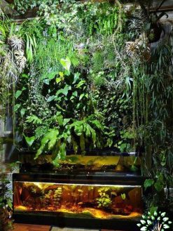 دیوار سبز GW52 Green wall