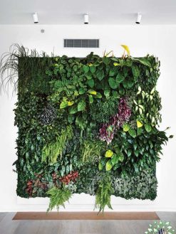 دیوار سبز GW53 Green wall