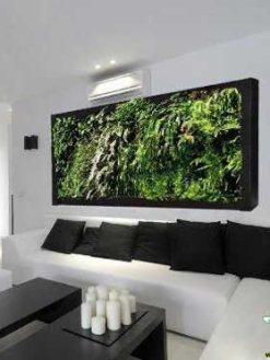 دیوار سبز GW54 Green wall