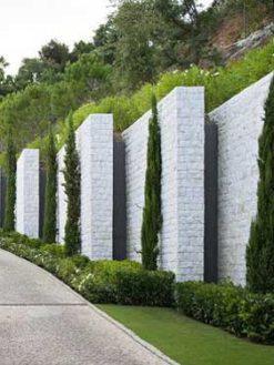 دیوار سبز GW55 Green wall