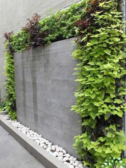 دیوار سبز GW56 Green wall