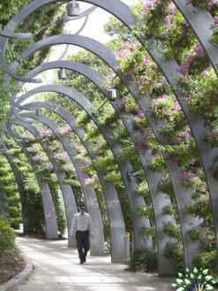 دیوار سبز GW57 Green wall