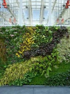 دیوار سبز GW58 Green wall