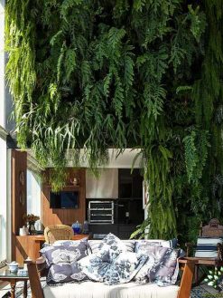 دیوار سبز GW59 Green wall