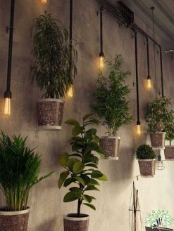 دیوار سبز GW61 Green wall