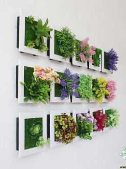 دیوار سبز GW62 Green wall