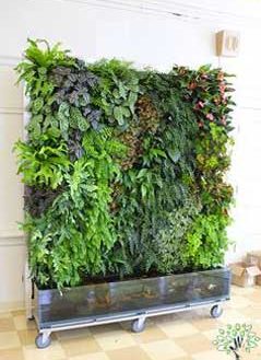 دیوار سبز GW65 Green wall