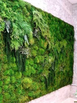 دیوار سبز GW66 Green wall