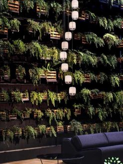 دیوار سبز GW68 Green wall