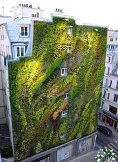 دیوار سبز GW69 Green wall