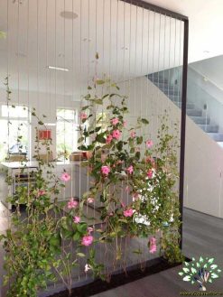 دیوار سبز GW71 Green wall