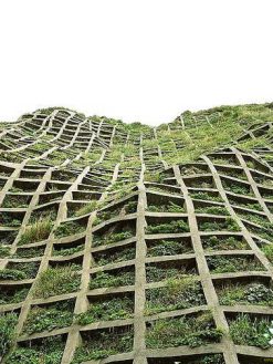 دیوار سبز GW75 Green wall