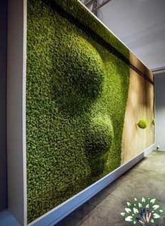 دیوار سبز GW76 Green wall