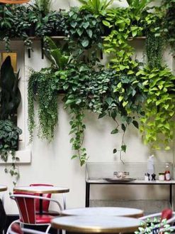 دیوار سبز GW79 Green wall