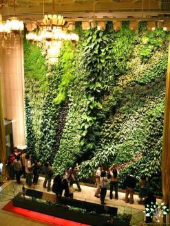 دیوار سبز GW8 Green wall