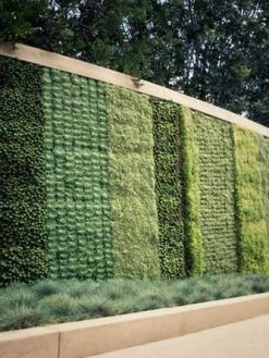 دیوار سبز GW80 Green wall
