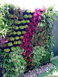 دیوار سبز GW81 Green wall
