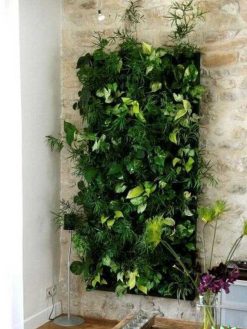 دیوار سبز GW82 Green wall