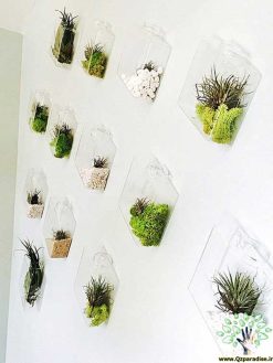 دیوار سبز GW84 Green wall