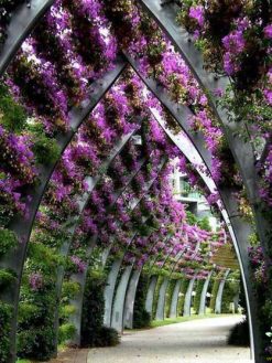 دیوار سبز GW87 Green wall