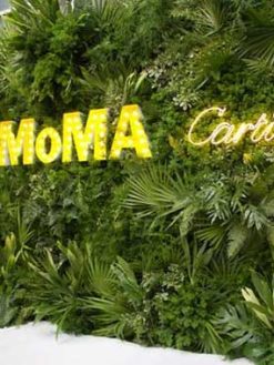 دیوار سبز GW88 Green wall