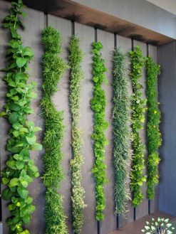 دیوار سبز GW89 Green wall