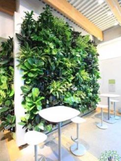 دیوار سبز GW9 Green wall