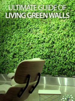 دیوار سبز GW90 Green wall