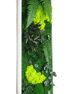 دیوار سبز GW94 Green wall