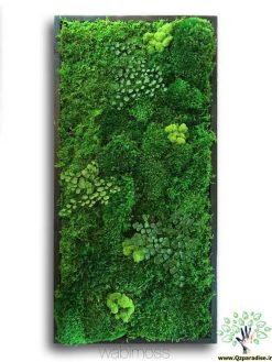 دیوار سبز GW99 Green wall